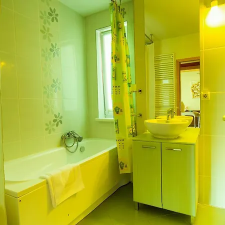 Apartment Penthouse Retreat Brasov