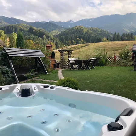 Penthouse Retreat Apartment Brasov